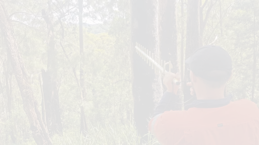 Scanning for network connectivity in remote Australian bushland
